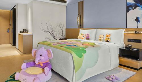 Premier King Room with City View