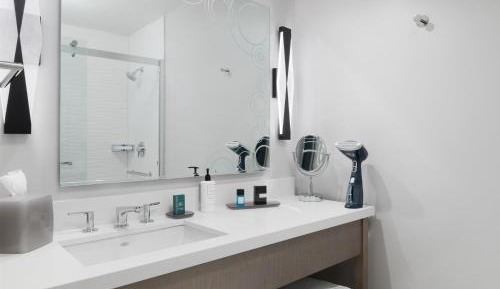 One-Bedroom Double Suite with Mobility and Hearing Access Tub