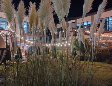 Apartment with Pool View 