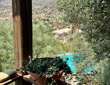 Apartment with Pool View 