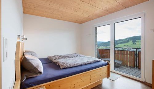 Superior One-Bedroom Apartment with Balcony