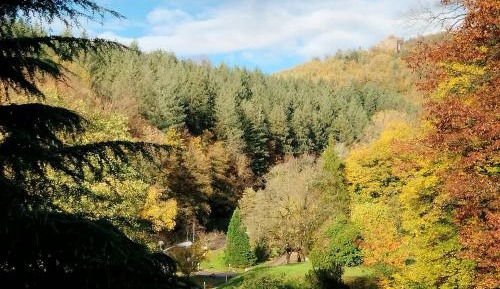Apartment with Mountain View