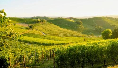 Deluxe One-Bedroom Apartment with City View