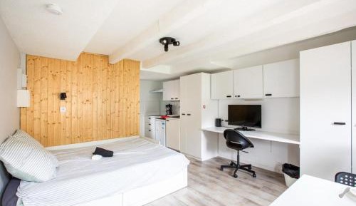 Deluxe One-Bedroom Apartment