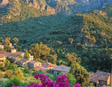 Classic Twin or Double Room - Ground Floor