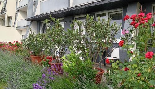 Apartment - Ground Floor