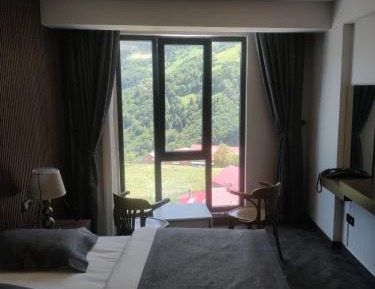 Suite with Mountain View