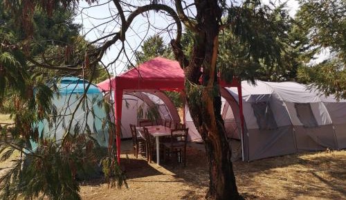 Tent 2
