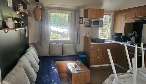 Mobile Home