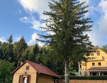 Villa with Garden View