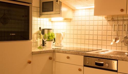 Apartment with Mountain View