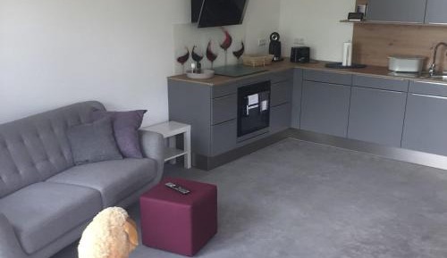 Superior One-Bedroom Apartment with Balcony