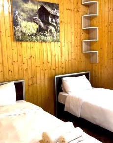 Twin Room with Mountain View