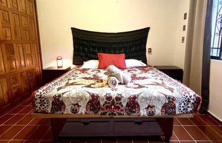 Queen Room with Garden View