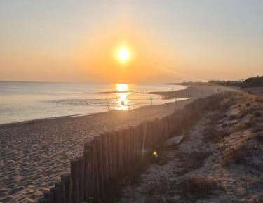 One-Bedroom Standard Apartment