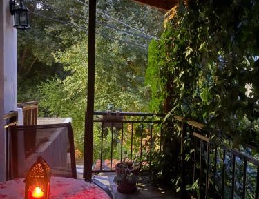 Double Room with Terrace