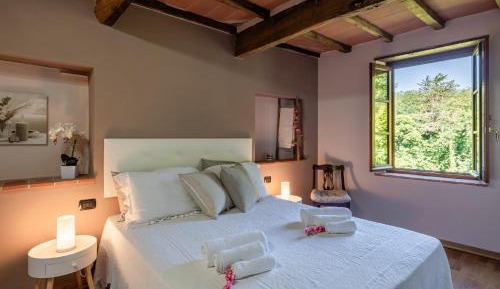 Superior One-Bedroom Apartment
