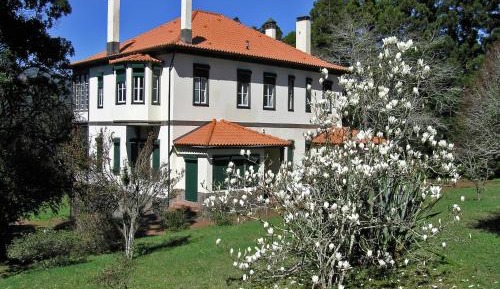 Four-Bedroom Villa