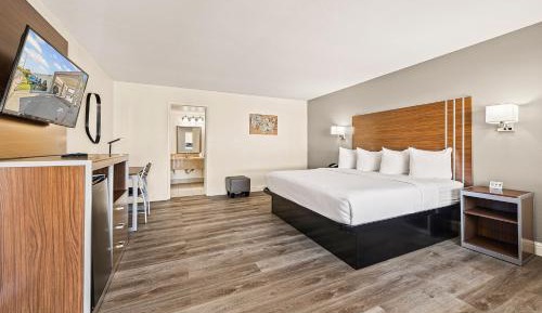 Standard King Room