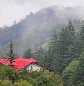 Double Room with Mountain View