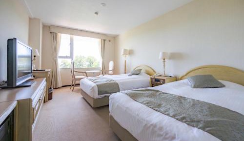 Standard Twin Room - Non-Smoking