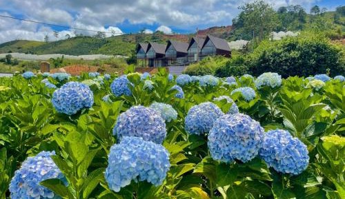 Two-Bedroom Superior Apartment