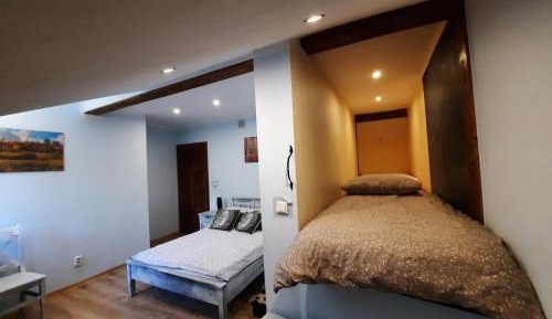 Standard Family Room