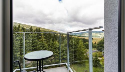 One-Bedroom Apartment with Balcony