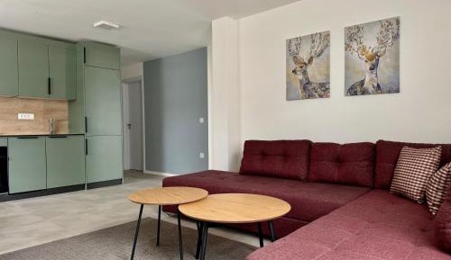 Two-Bedroom Apartment with Terrace
