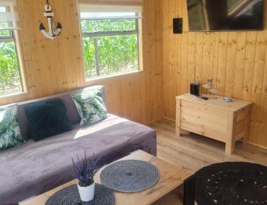 Mobile Home