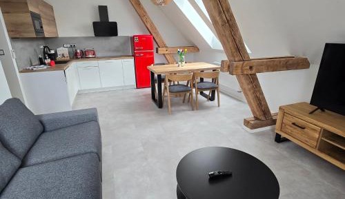 Deluxe One-Bedroom Apartment