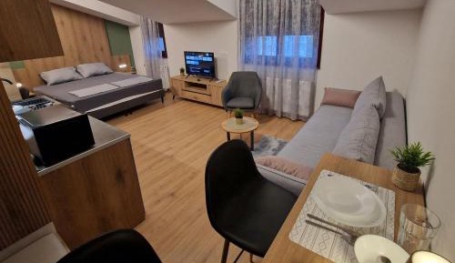 King Studio with Sofa Bed