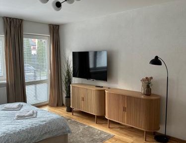 One-Bedroom Apartment with Balcony and Mountain View  