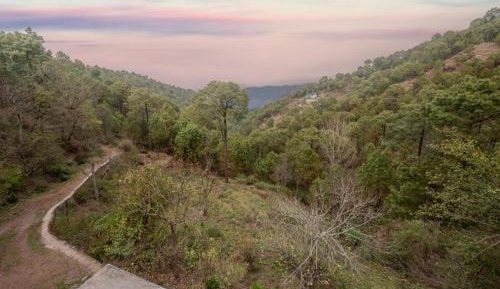 Double Room with Mountain View