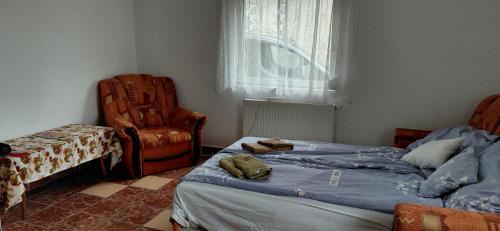 One-Bedroom Apartment - Non-Smoking