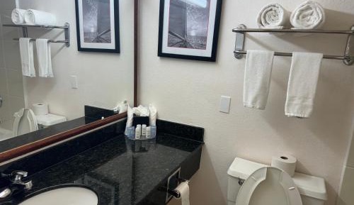 King Room - Non-Smoking