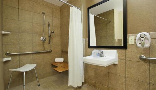 Standard King Room with Sofa Bed and Roll-In Shower - Mobility Accessible