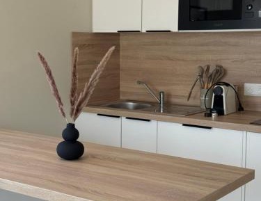 One-Bedroom Apartment with City View