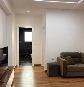 Deluxe One-Bedroom Apartment