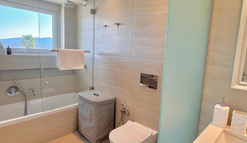 Penthouse Apartment with private Skyview Jacuzzi