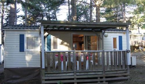 Mobile Home