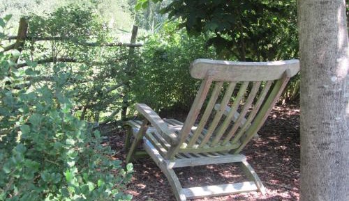 One-Bedroom Apartment with Terrace