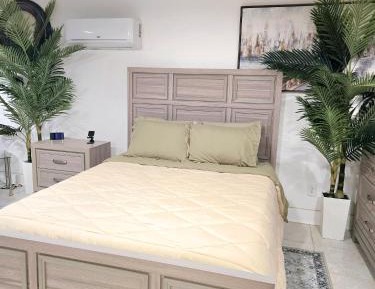 One-Bedroom Apartment - Non-Smoking