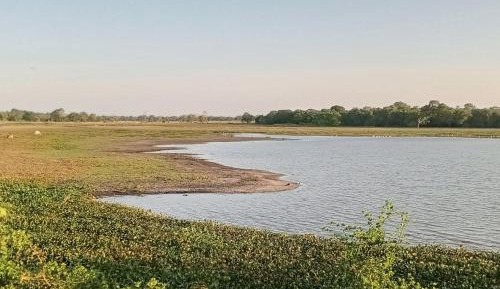 Standard Double Room with Fan
