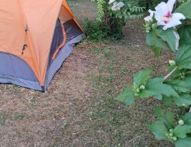 Tent