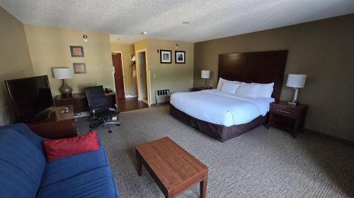 King Suite with Sofa Bed- Non-Smoking 