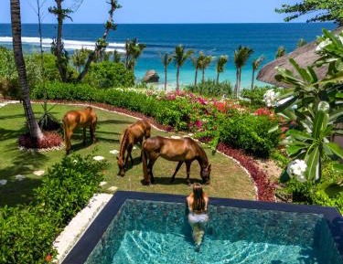 Kasambi, 1-Bedroom Villa, Ocean View, Shared Plunge Pool