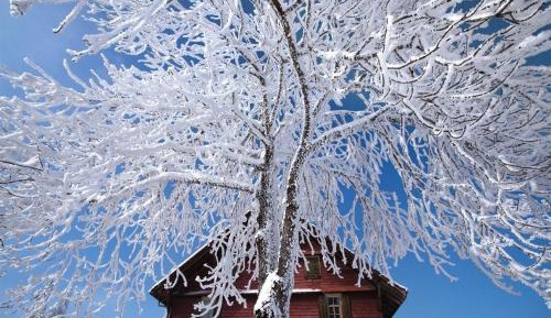 One-Bedroom Vacation Home