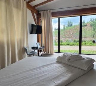 Room #295135720