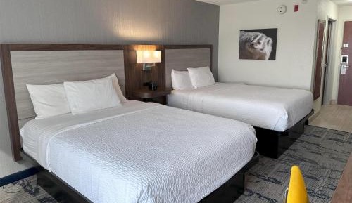 Double Room with Two Double Beds